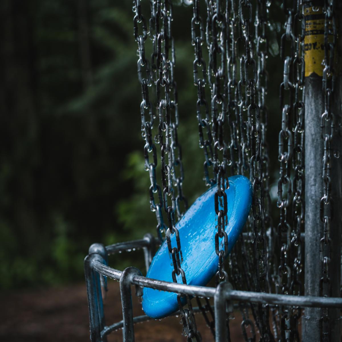 A blue disc caught in rain-soaked basket chains